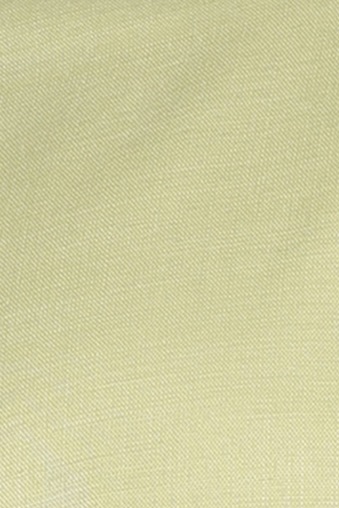 OliveStone Regular Fit Shirt